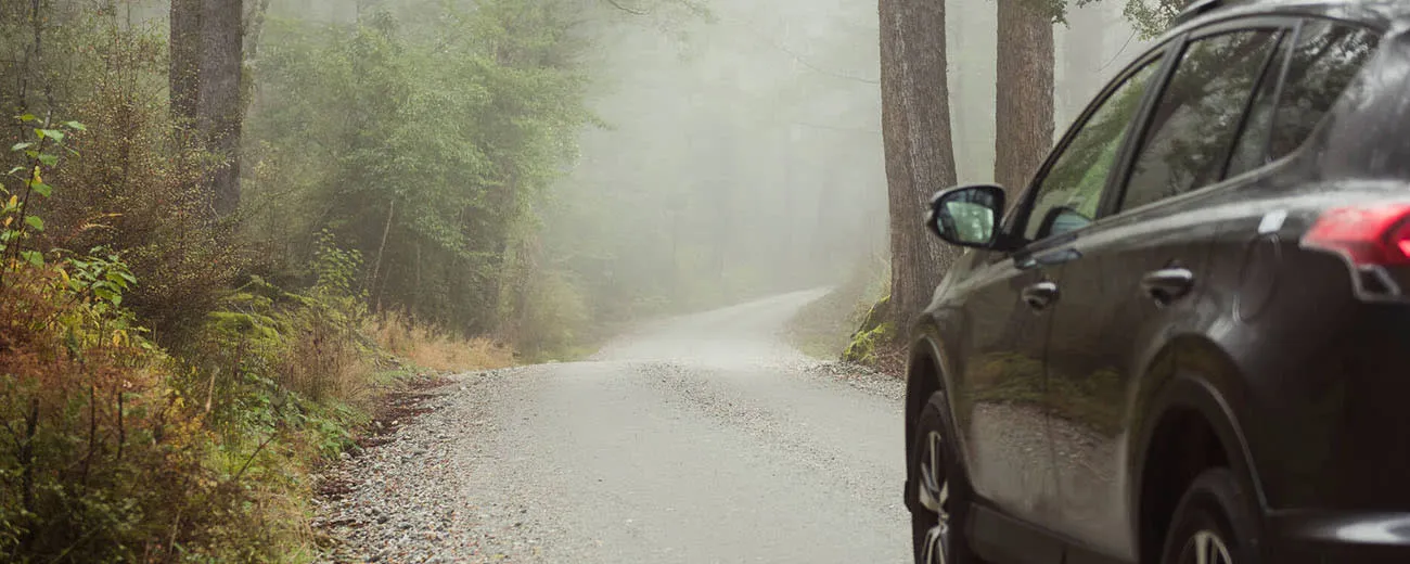 Car on forest road