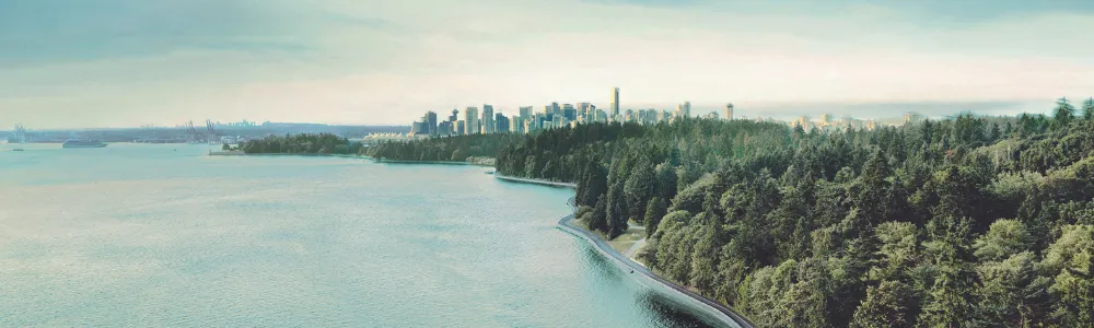 Nature and city view